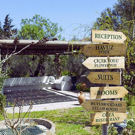 Olive Farm Of Datca Guesthouse (Adults Only) Exterior photo