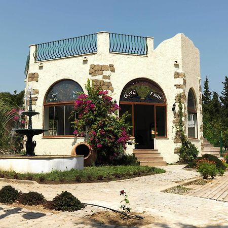 Olive Farm Of Datca Guesthouse (Adults Only) Exterior photo