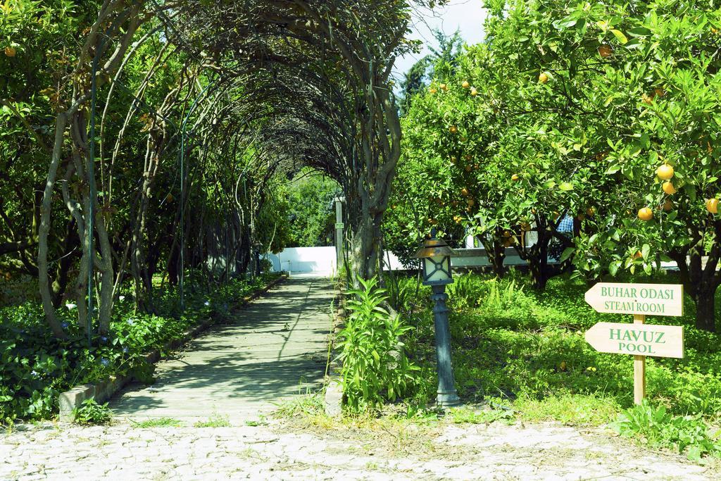 Olive Farm Of Datca Guesthouse (Adults Only) Exterior photo