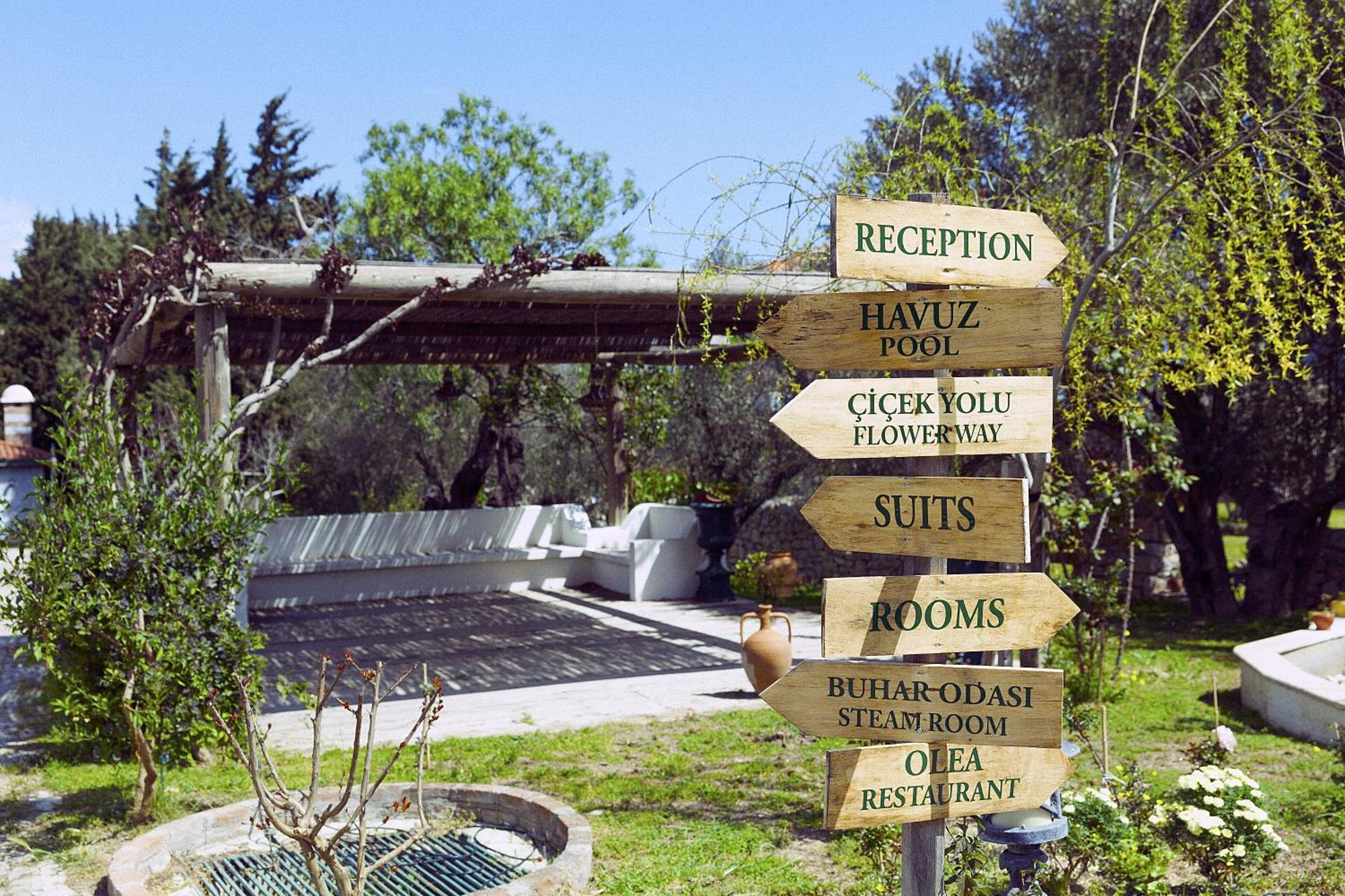 Olive Farm Of Datca Guesthouse (Adults Only) Exterior photo