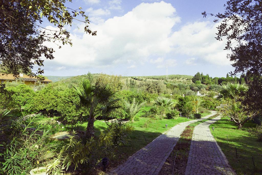 Olive Farm Of Datca Guesthouse (Adults Only) Exterior photo