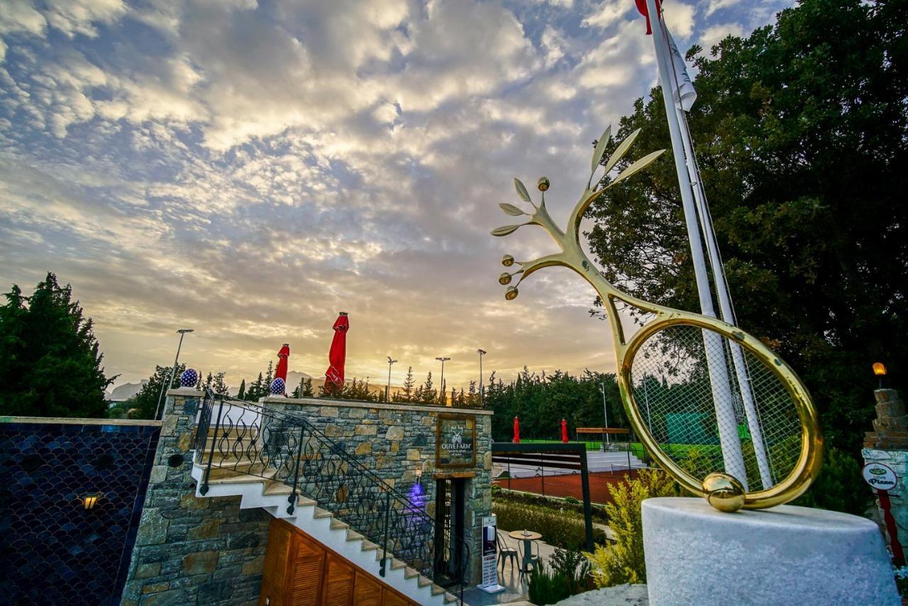Olive Farm Of Datca Guesthouse (Adults Only) Exterior photo
