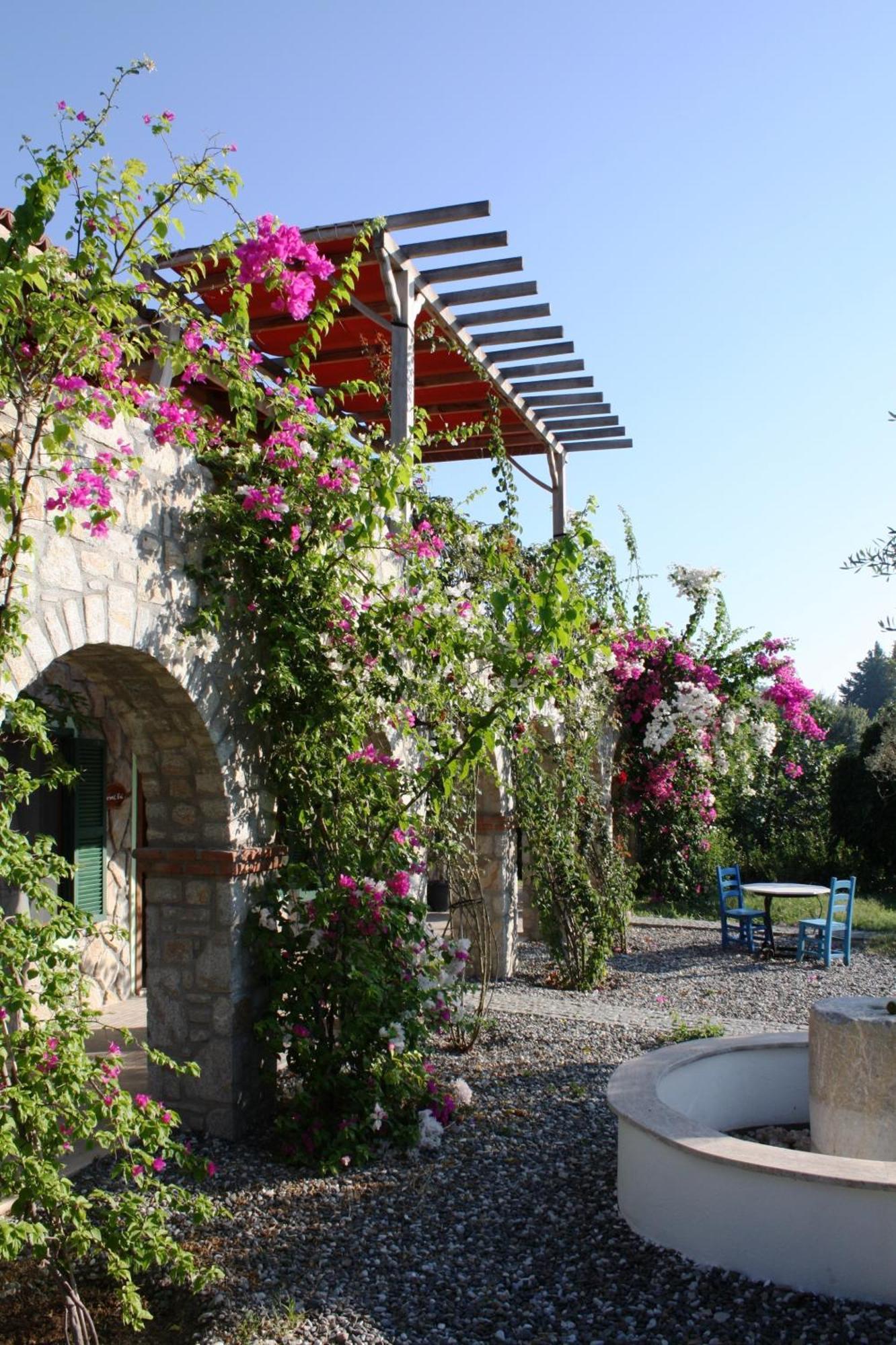 Olive Farm Of Datca Guesthouse (Adults Only) Exterior photo
