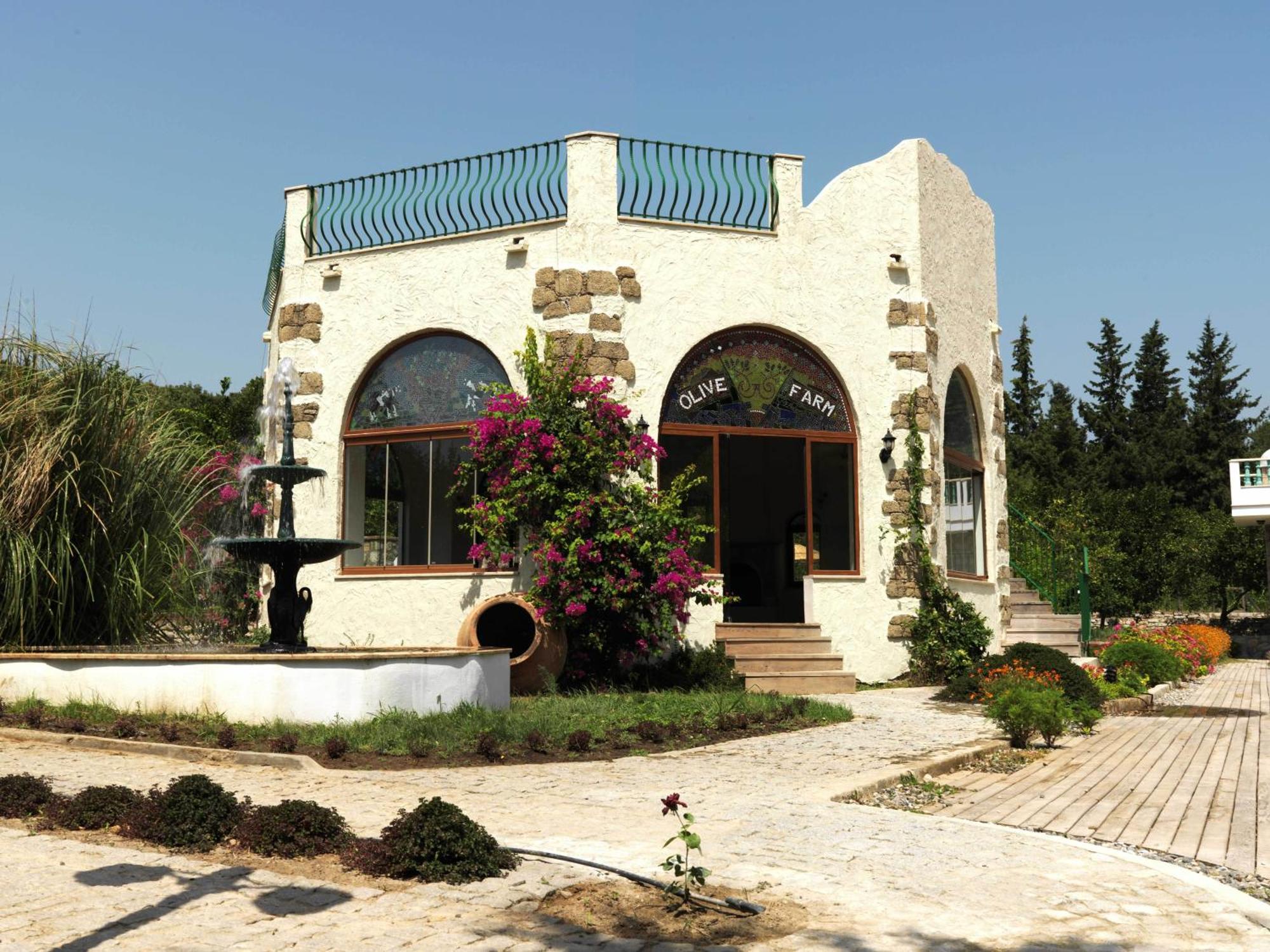 Olive Farm Of Datca Guesthouse (Adults Only) Exterior photo