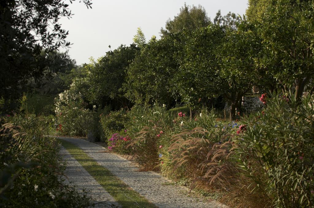 Olive Farm Of Datca Guesthouse (Adults Only) Exterior photo