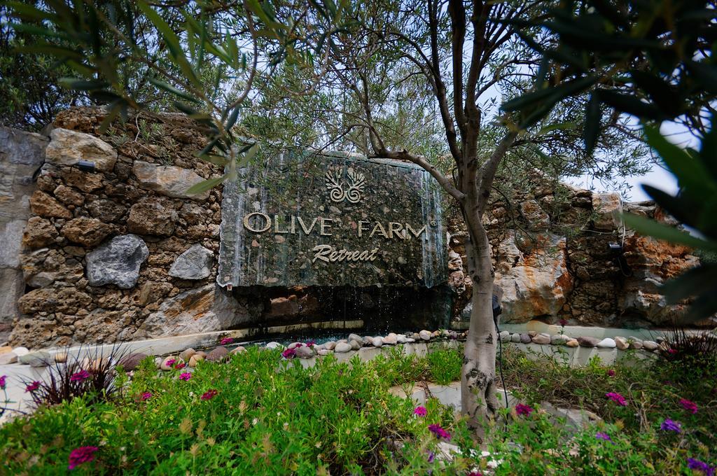 Olive Farm Of Datca Guesthouse (Adults Only) Exterior photo