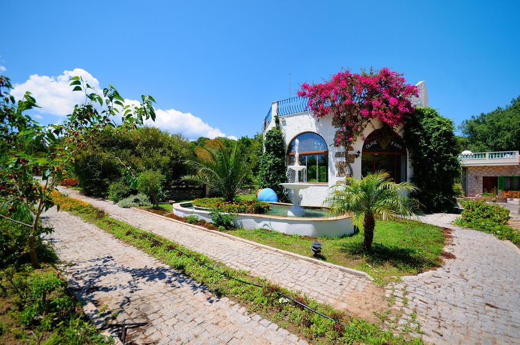 Olive Farm Of Datca Guesthouse (Adults Only) Exterior photo
