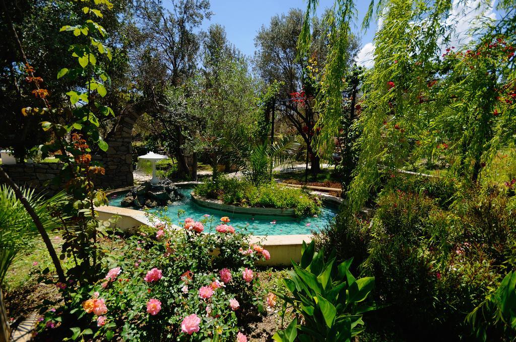 Olive Farm Of Datca Guesthouse (Adults Only) Exterior photo