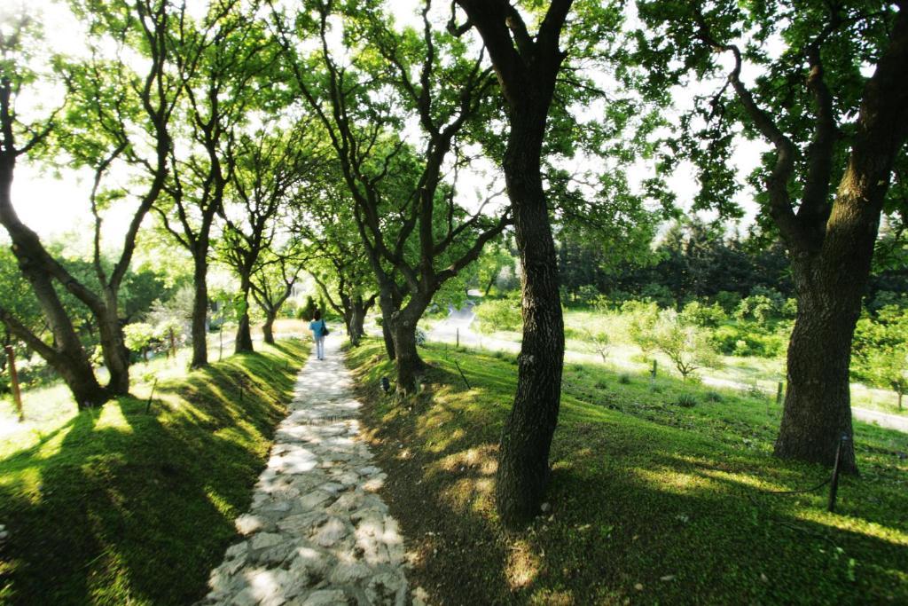 Olive Farm Of Datca Guesthouse (Adults Only) Exterior photo