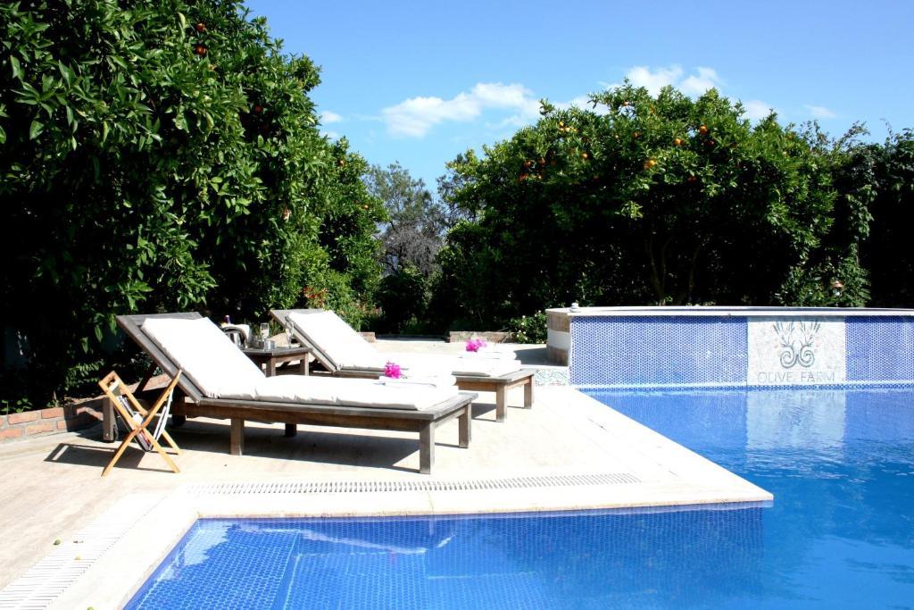 Olive Farm Of Datca Guesthouse (Adults Only) Exterior photo